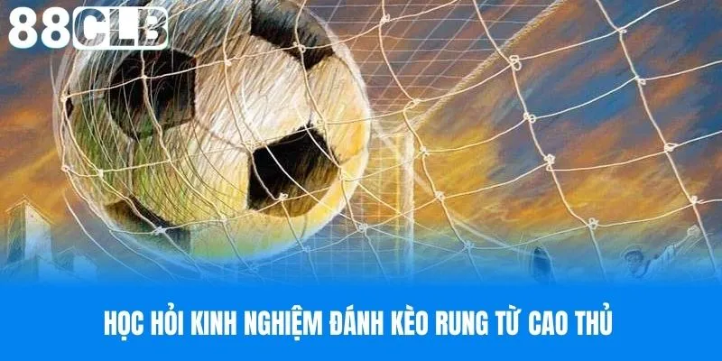 Học hỏi kinh nghiệm đánh kèo rung từ cao thủ