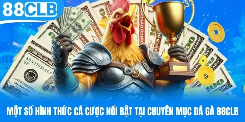 Các kèo cược nổi bật của chuyên mục đá gà 88CLB
