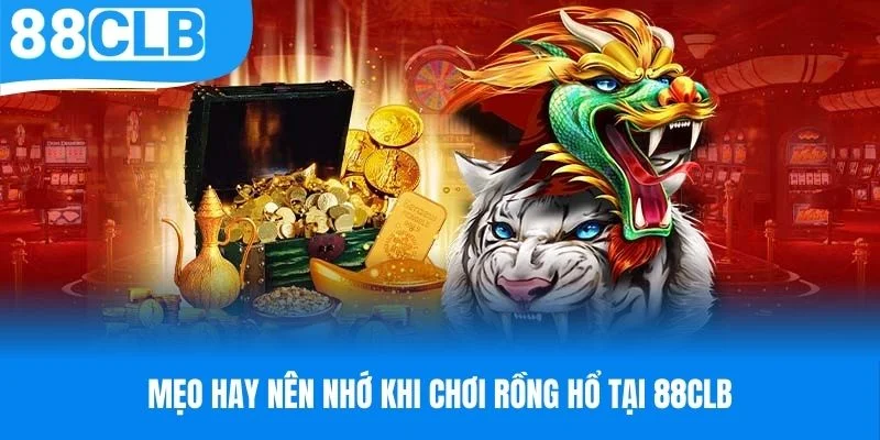 Mẹo hay nên nhớ khi chơi rồng hổ tại 88CLB