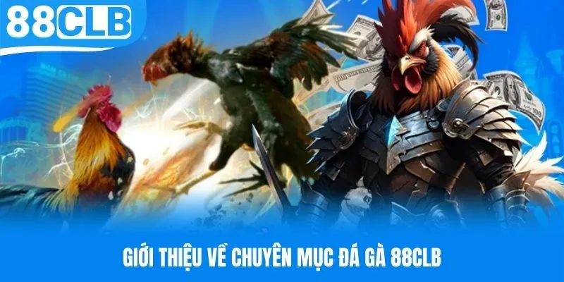 Tìm hiểu về chuyên mục đá gà 88CLB