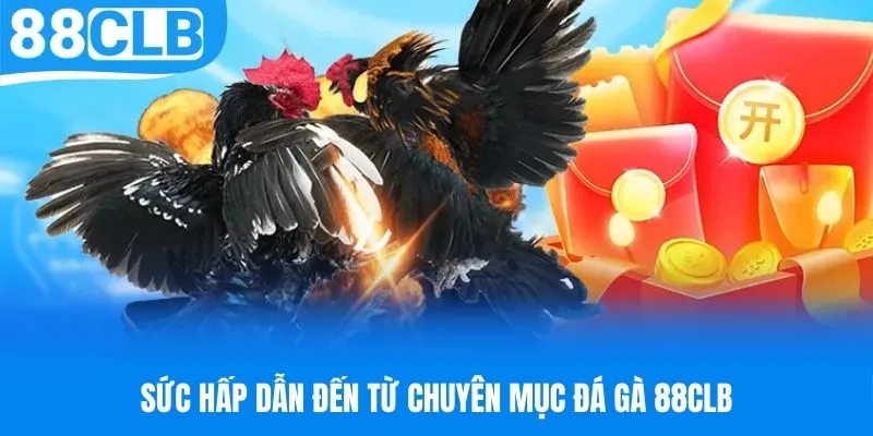 Ưu điểm làm nên sức thu hút cho chuyên mục đá gà 88CLB