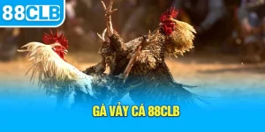 ga-vay-ca-88clb_3_11zon